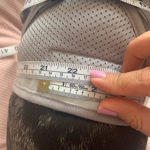 Dog harness - Picture 6 of 6